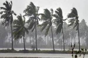 ‘तऊ ते’ चक्रवात का दिखने लगा असर, गोवा में तेज हवाओं के साथ भारी बारिश, उखड़ गए बिजली के खंभे