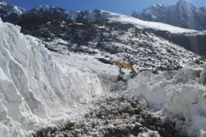 धारचूला: एक महीने बाद खुला ज्योलिकांग-लिपूलेख मोटर मार्ग, पर नहीं जा सकेंगे पर्यटक