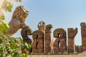 शेरों का शिकार करता कोरोना… शेरनी संक्रमित, इटावा लॉयन सफारी में अलर्ट