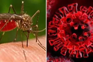 कोरोना से नहीं बल्कि मच्छरों के आतंक से परेशान हैं पाकिस्तानी हिंदू शरणार्थी, जानिए क्या है पूरा मामला?