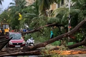 ‘ताऊ ते’ उड़ा ले गया बिजली, महाराष्ट्र में 18.43 लाख उपभोक्ता हुए वंचित, गोवा में 19 मई तक होगी बहाल