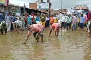 हरदोई: नहीं सुनी गई फरियाद तो गांधीगिरी दिखाकर किया विरोध, सड़क के गड्ढे में बो दिया धान