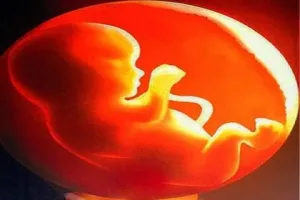 लालकुआं: इंसानियत हुई शर्मसार! कपड़े में लपेट कर जंगल में फेंका भ्रूण