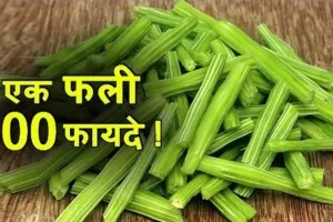 स्वास्थ्यवर्धक आहार: तेज इम्यूनिटी बढ़ाने के लिए करें सहजन का इस्तेमाल, होते हैं अनेक लाभ