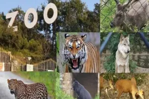 नैनीताल: जू में वन्यजीवों की खुराक के लिए मिले 60 लाख