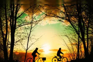 हल्द्वानी: अब साइकलिंग ट्रैक और चिल्ड्रेन पार्क बढ़ाएंगे सिटी फॉरेस्ट की शान