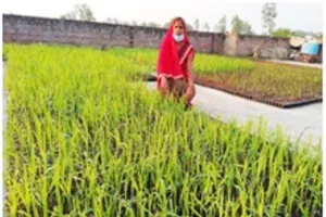 बरेली: महिलाओं की भागीदारी ने बना दिया आत्मनिर्भर