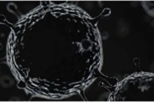 चिंता: कुमाऊं में अब तक ब्लैक फंगस का कोई मरीज ठीक नहीं हुआ