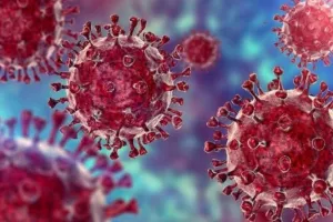 झारखंड का पाकुड़ बना पहला कोरोना-मुक्त जिला, कोरोना से रिकर्व हुए आखिरी मरीज को मिली अस्पताल से छुट्टी