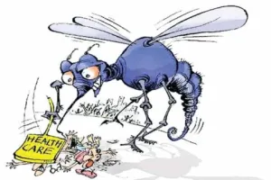 हल्द्वानी: लॉकडाउन का असर, धीमा रहेगा डेंगू का डंक