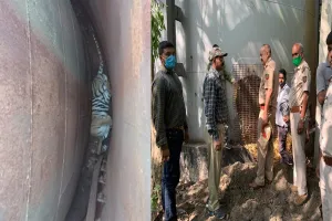 बरेली: टैंक में घुसी बाघिन, ट्रेंक्यूलाइज करने के लिए पहुंची पीलीभीत से विशेष टीम