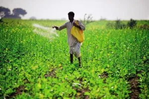 नई दिल्ली: यूरिया पर मूल्य नियंत्रण खत्म करने का साहस नहीं जुटा सकी सरकार