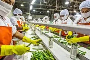 लखनऊ: प्रदेश में बढ़ा ग्रामीण अंचलों के प्रति रुझान, फूड प्रोसेसिंग की हो रही डिमांड