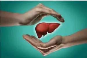 अधिक मीठा खाने से होती है फैटी लिवर की शिकायत, जानें इसका कारण