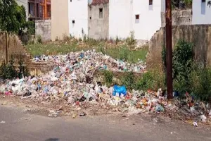 मुरादाबाद: महानगर को साफ रखने में निगम हुआ फैल, सड़को पर फैल रही गंदगी