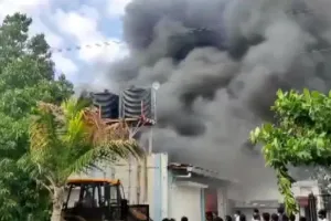 पुणे की केमिकल फैक्ट्री में लगी भीषण आग, 15 महिलाओं समेत 18 की मौत