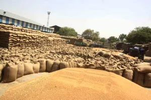 किसानों के साथ अर्थव्यवस्था को मिलेगी रफ्तार, कोरोना संकट में हुई गेहूं की रिकॉर्ड खरीद