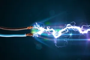 हापुड़ : करंट लगने से गोवंशीय पशु की मौत, हिंदू संगठन के कार्यकर्ताओं में आक्रोश