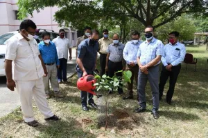 बरेली: 4 जुलाई को स्मृति वाटिका में रोपे जाएंगे पौधे