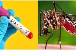 Corona प्रकोप के बाद Zika virus ने बढ़ाई मुसीबत, केरल में मिले 14 positive, केंद्रीय दल दक्षिण राज्य रवाना