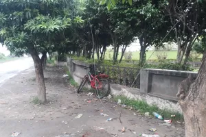 बरेली: हरुनगला में हाईटेंशन लाइन का तार टूटकर गिरा, दूधिए की मौत