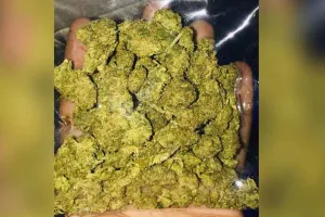 अल्मोड़ा: सल्ट पुलिस ने चार गांजा तस्करों को दबोचा 