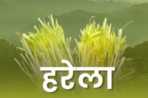 पारंपरिक तौर से मनाया जाता है हरेला