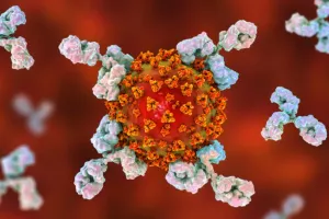 कोरोना से संक्रमित व्यक्ति कुछ माह तक हैं SAFE, एंटीबॉडी पर हुई रिसर्च में हुआ यह खुलासा