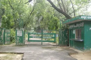 बरेली: वन विभाग का लालच निगल गया मयूर वन की खूबसूरती