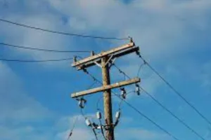 बरेली: मिनी बाईपास पर सड़क किनारे बिजली के पोल में करंट उतरा, भैंस की मौत