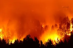 कैलिफोर्निया: गर्म हवाओं ने जंगल की आग को और भड़काया, बुझाने के लिए संघर्ष जारी