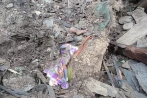 बागेश्वर: कपकोट के सुमगढ़ में बरसात बनी काल, परिवार के तीन सदस्यों की मौत, गौशाला में बंधे पशु भी जमींदोज