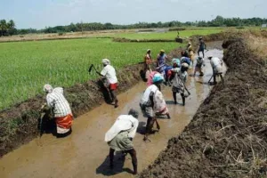 बरेली: मनरेगा में लागू नहीं हो सका न्यू मोबाइल मॉनिटरिंग सिस्टम