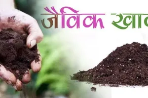 बरेली: जैविक खादों ने किसानों की बढ़ाई आमदनी