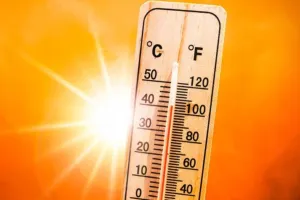 कनाडा के ब्रिटिश कोलंबिया प्रांत में लू ने बरपाया कहर, 700 से अधिक लोगों की मौत