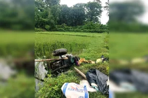 लखीमपुर-खीरी: हाथियों ने मचाया उत्पात, फसलें रौंदी, इंजन पलटे