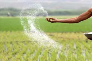 बरेली: क्यूआर कोड स्कैन किए बिना भी मिल सकेगी किसानों को खाद