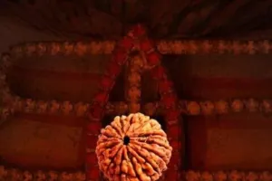 भगवान शिव के आंसुओं से हुई थी दिव्य “रुद्राक्ष” की उत्पत्ति, कैसे बदलता है जीवन का भाग्य, आइए जानिए…