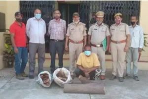 हल्द्वानी: चंदन का पेड़ काटकर ले जा रहे तस्कर को दबोचा