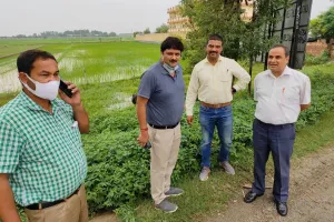 बरेली: लालफाटक रोड पर पेड़ों को ट्रांसलोकेट करने की ढूंढी संभावना