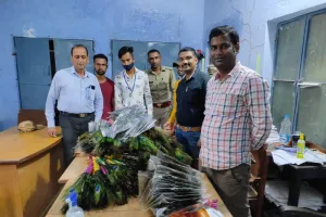 बरेली: जन्माष्टमी पर मोर पंख बेचने वालों पर कार्रवाई, 14 तोते बरामद