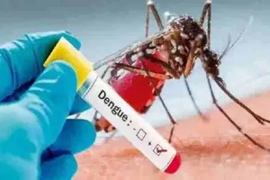 लखनऊ: बढ़ा डेंगू व मलेरिया का खतरा, नगर निगम चलाएगा ये अभियान