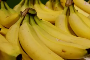 पौष्टिक खुराक के रूप में पुलिसकर्मियों को नहीं मिलेंगे रोज केले, बजट के अभाव में निर्देश रद्द