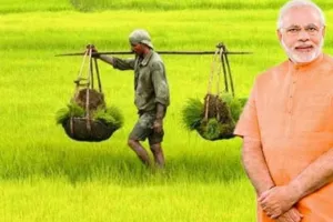 कृषि निर्यात का दायरा