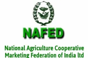 बरेली: गेहूं के बाद अब धान खरीद भी नहीं कर सकेगा नेफेड