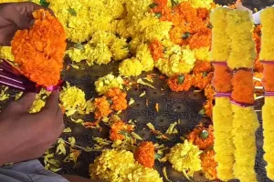 कर्नाटक सरकार के फैसले से फूल उत्पादकों-विक्रेताओं में रोष, विरोध में किया प्रदर्शन