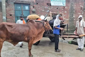 संभल: दबंगों की दहशत से गरीब परिवार ने किया गांव से पलायन, पीड़ित को झूठे मुकदमे में फंसाने की दी धमकी