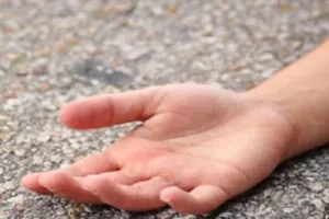 11 हजार वोल्ट की लाइन से भिड़ा ट्रक, चालक की मौत