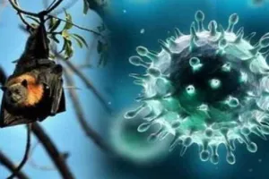 निपाह वायरस: केरल में 12 साल के बच्चे की मौत, केंद्र ने रवाना की टीम