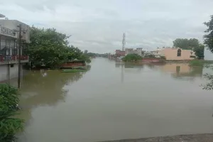 बाराबंकी: तूफानी हवाओं और भारी बारिश से गिरे पेड़ और विद्युत पोल, जनजीवन हुआ अस्त-व्यस्त